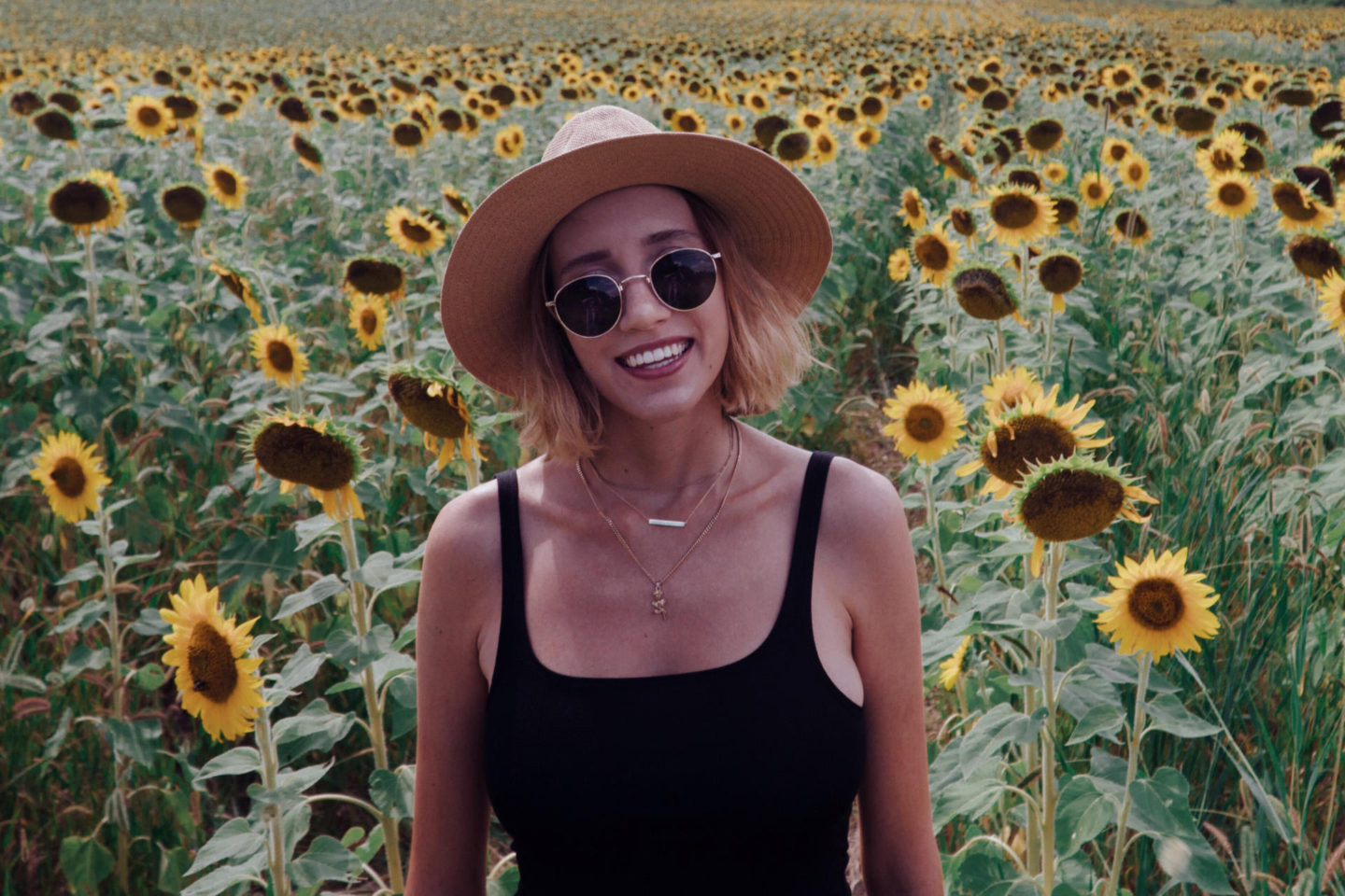Citybreak | Sunflower + Lavender Farms