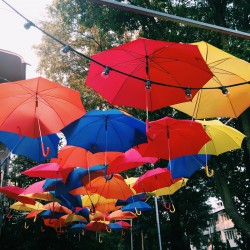 Umbrellas                   